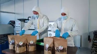 Van'da Sahipsiz Hayvanlar İçin Mama Üretimi