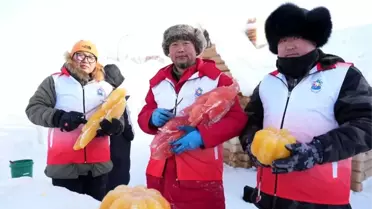 Buz Heykelleri Bitki Boyalarıyla Renklendi