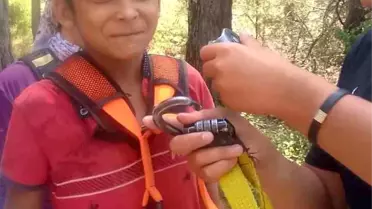 Kayıp Çocuk Adana'da Bulundu