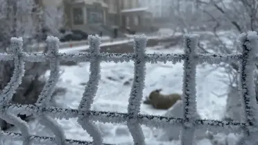 Kent buz kesti, dışarı çıkanların kaş ve kirpikleri donuyor