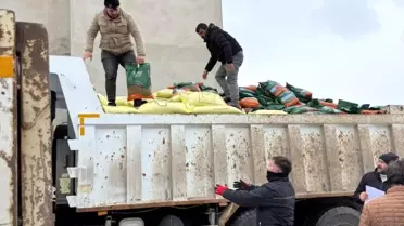 Demirözü'nde 210 çiftçiye tarımsal destek sağlandı