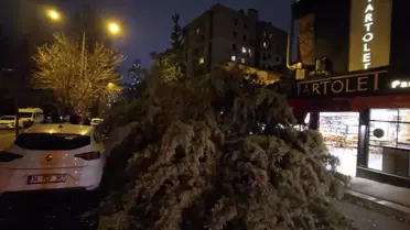 İstanbul'da Fırtına Can ve Mal Kaybı Oluşturmadı