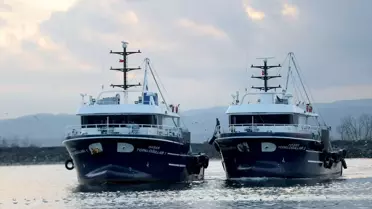 İğneada'da Hamsi Bolluğu