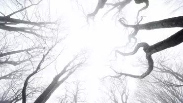 Kırklareli'nde Sis Hayatı Olumsuz Etkiliyor