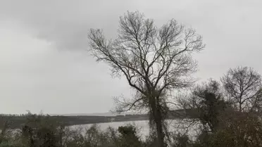 Sakarya'da Kayıp Gencin Cesedi Bulundu
