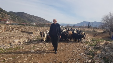 Depremzede Mehmet Güler Yeniden Sürü Sahibi Oldu