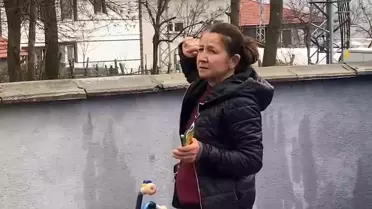 Mahsur Kedi Bir Haftadır Ağacın Düzeyinde