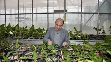 Antalya COP31'de Tarım Teknolojileri Öne Çıkacak