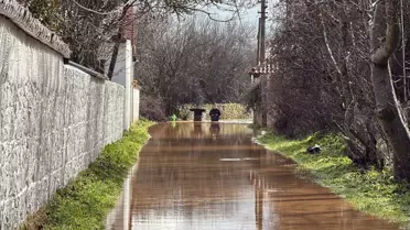 Kayıp olarak aranan kadın, ağaca asılı bulundu