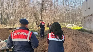 Taraklı'da Tavuk Çiftliğine Biyogüvenlik Kısıtlaması