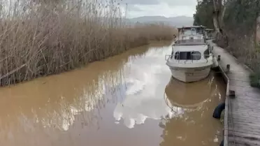 Akyaka'da Denizde Kahverengi Su Alarmı