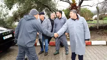 Bayındır Nergis ve Kuru Çiçek Festivali iptal edildi