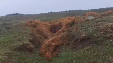 Diyarbakır'da Kaybolan Nimet Kılıç İçin Arama Çalışmaları Devam Ediyor