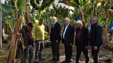 Manavgat'ta Hortum Zararları İncelendi