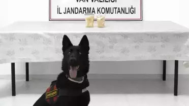 Van'da Eroinle Yakalanan İran Uyruklu Şüpheli