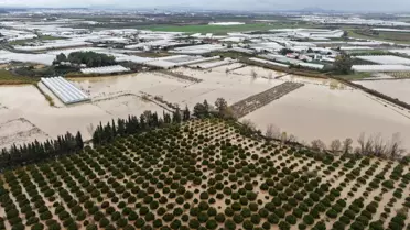 Antalya'da Tarıma Hortum Darbesi