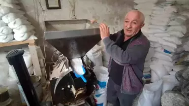 Kaya Tuzculuğu Yok Olma Tehlikesinde