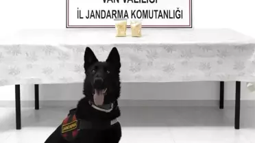 Başkale'de 510 Gram Eroin Ele Geçirildi