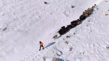 Mazıdağı'nda Kar Zorluğu