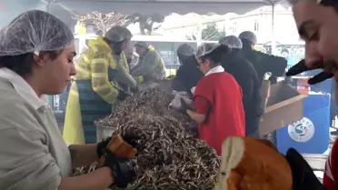 Soğuğa aldırış etmeyen vatandaşlar Balık Festivali'ne koştu