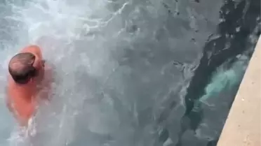 Soğuk engel olmadı, buz gibi suya girip 1.5 metrelik orkinos avladı