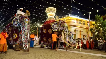 Sri Lanka'da Navam Maha Perahera Festivali