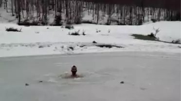 Buz Gölüne Giren Adam