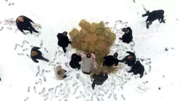 Muş'ta yaban hayatı için doğaya yem bırakıldı