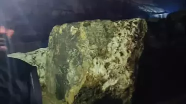 Beytüşşebap'ta Sağanak Kazası: 20 Hayvan Telef Oldu