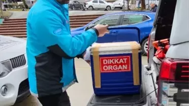Trabzon'da Organ Bağışı