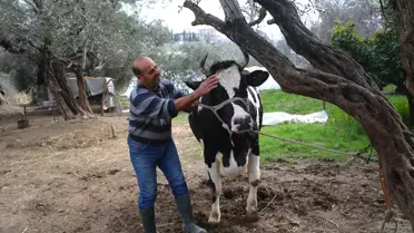 Depremzede Besicilere Devlet Desteği