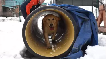 Köpük, Yeni Görevlere Hazırlanıyor