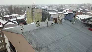 Kış Ortasında Leylek Sürüsü