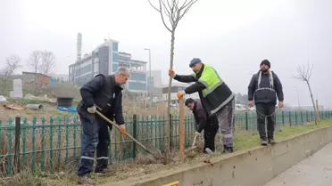 Edirne'de Yeşil Alan Çalışmaları Devam Ediyor