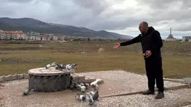 Kütahya'nın Güvercin Sevdası