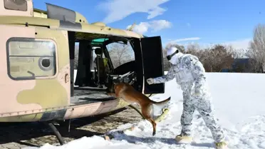 Köpek Eğitimleri Derin Kar ve Soğukta Yapıldı