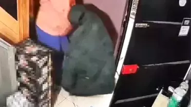 Sahibiyle samimiyet kurduğu iş yerinden önce çöpleri, sonra 250 karton sigarayı çıkarttı