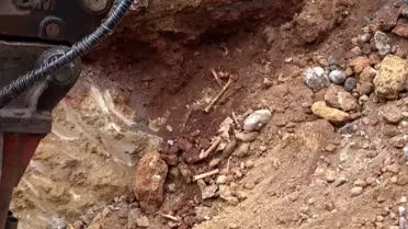Antalya'da belediye kazısında kemik parçaları bulundu