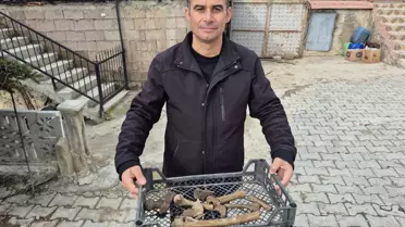 Su çekildi, küplerden insan kemikleri fışkırdı