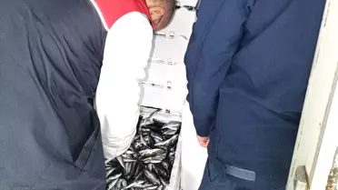 Kırklareli'nde İstavrit Denetimi