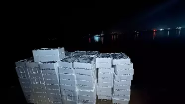 İğneada'da Yasal Olmayan İstavrit Avına Cezalı Müdahale