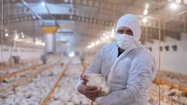 Lezita, Kahramanmaraş'ta Yeni Piliç Tesisi Kuracak