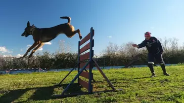 Sakarya'nın K9 Köpekleri Afetlere Hazırlanıyor
