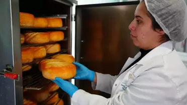 Biga Kadın Kooperatifi'nden Geleneksel Peynir Üretimi