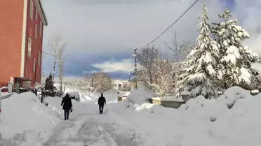 Bingöl'de Kar Ulaşımı Engelledi