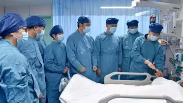 Genetiği Değiştirilmiş Domuz Karaciğeriyle Tedavi