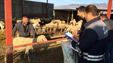 Denizli'de Hayvancılıkta Tarihi Başarılar