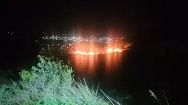 İskenderun'da Zeytin Bahçesinde Yangın Kontrol Altında