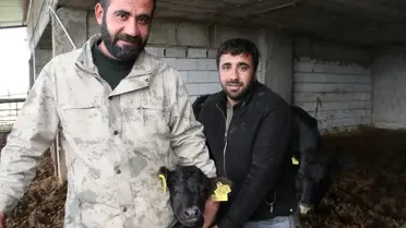 Kilisli Üretici Projeyle Hayvancılığı Geliştiriyor