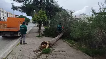 Kuşadası'nda Fırtına ve Sağanak Hayatı Olumsuz Etkiledi